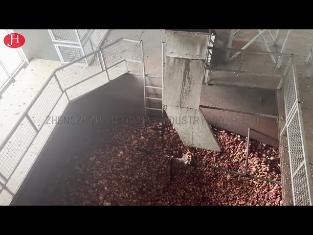 La CINA Ss che puliscono l'amido della patata dolce che fa macchina 25t/H 18.5kw per la vendita
