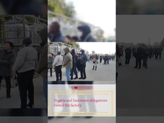 Delegazioni nigeriane e indonesiane hanno visitato la fabbrica