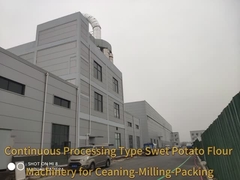 Equipaggiamenti per la lavorazione continua della farina di patate dolci Macchine per l'amido di patate dolci