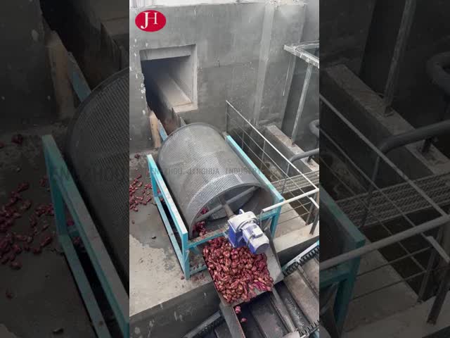 La CINA Processore di amido di patata dolce a controllo PLC che fornisce pulizia, macinazione, confezionamento e lavorazione per applicazioni industriali per la vendita