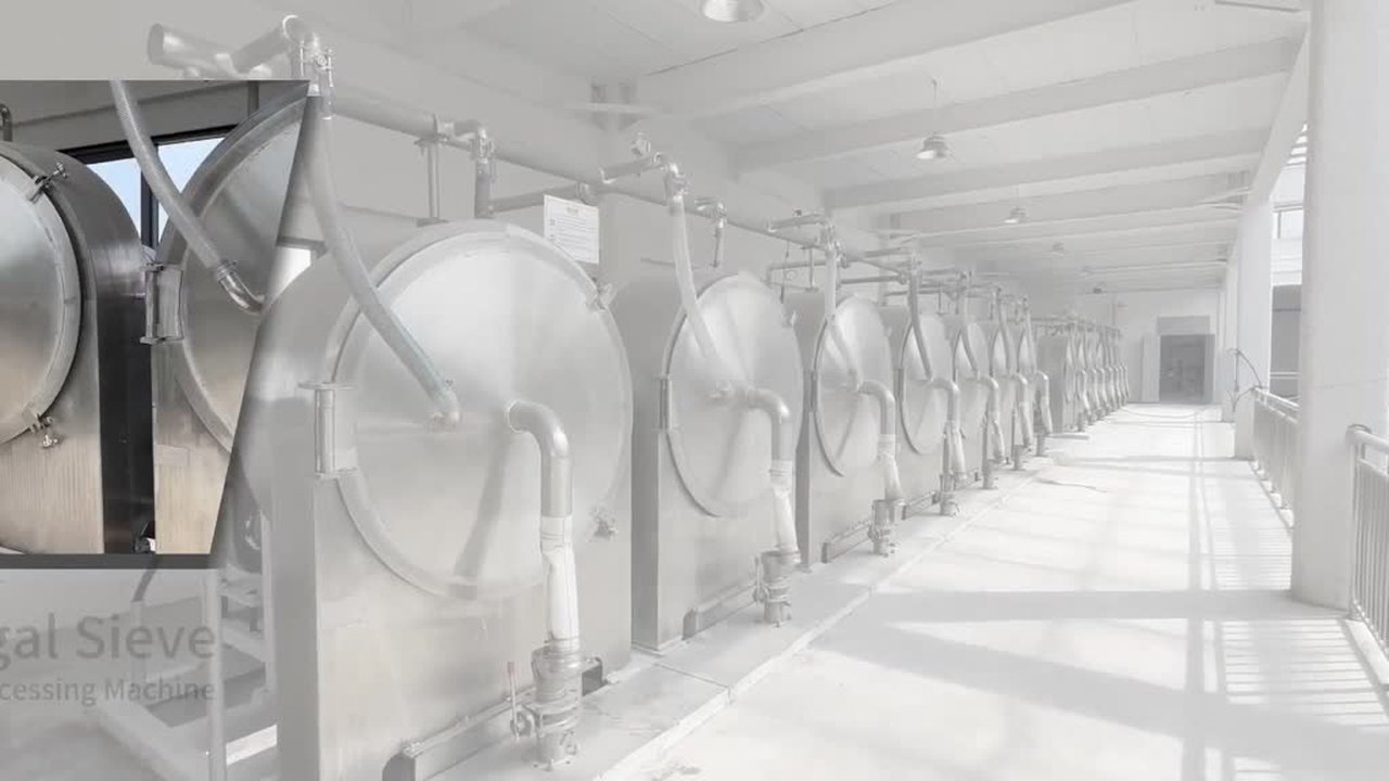 La CINA Attrezzatura secca automatica del setaccio della centrifuga dei residui dell'amido di manioca della patata per la vendita